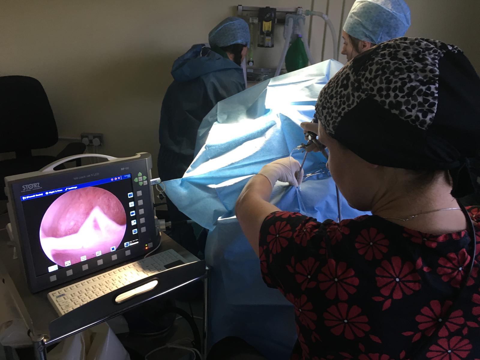 endoscopy in progress